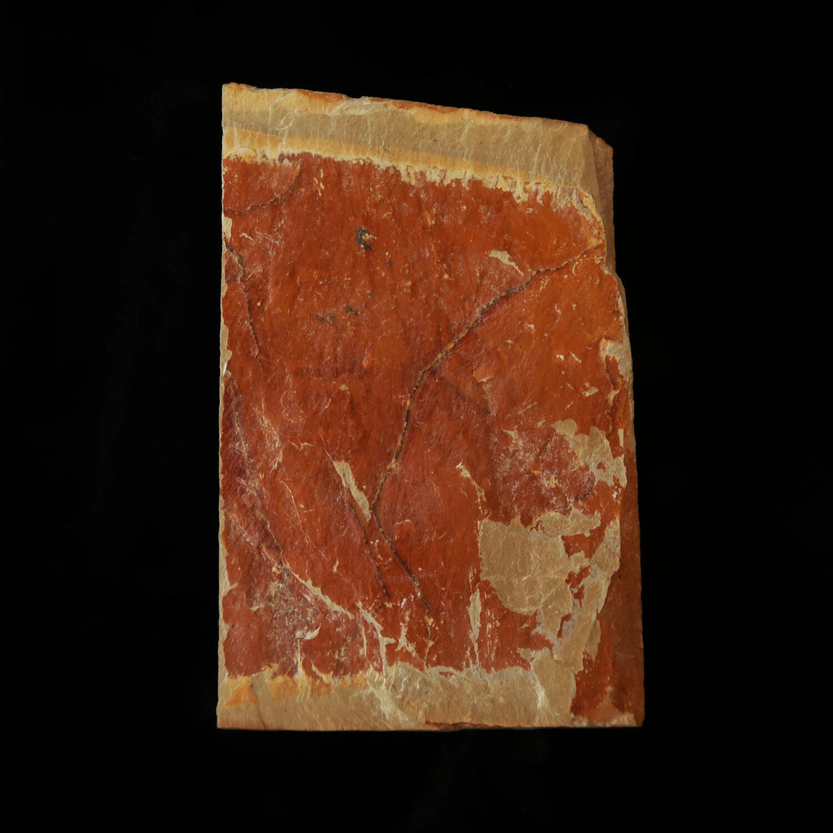 Pedra de amolar natural Nakayama Aoto tipo couro – 80×120×14 mm