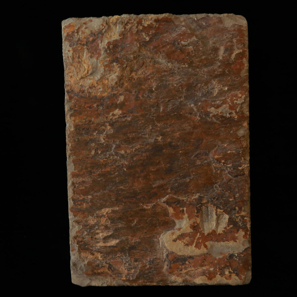 Pedra de amolar natural Atago, tipo “kobu-toishi” 115 × 170 × 34 mm