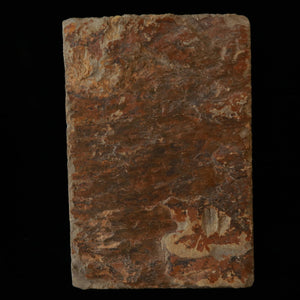 Pedra de amolar natural Atago, tipo “kobu-toishi” 115 × 170 × 34 mm