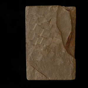 Pedra de amolar natural Atago, pedra “kobu” (com saliência), 115×172×34 mm