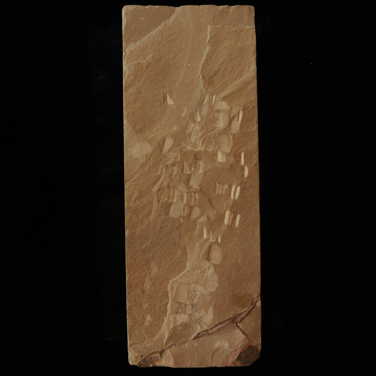 Pedra de amolar natural Ohira Hiroyama, tipo 30, seleção especial, boca macia, 76 × 208 × 36 mm