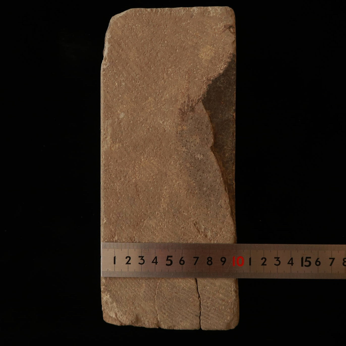 天然砥石　赤門前砥石　特大　81×237×103mm