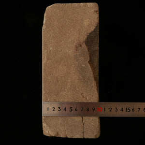 天然砥石　赤門前砥石　特大　81×237×103mm