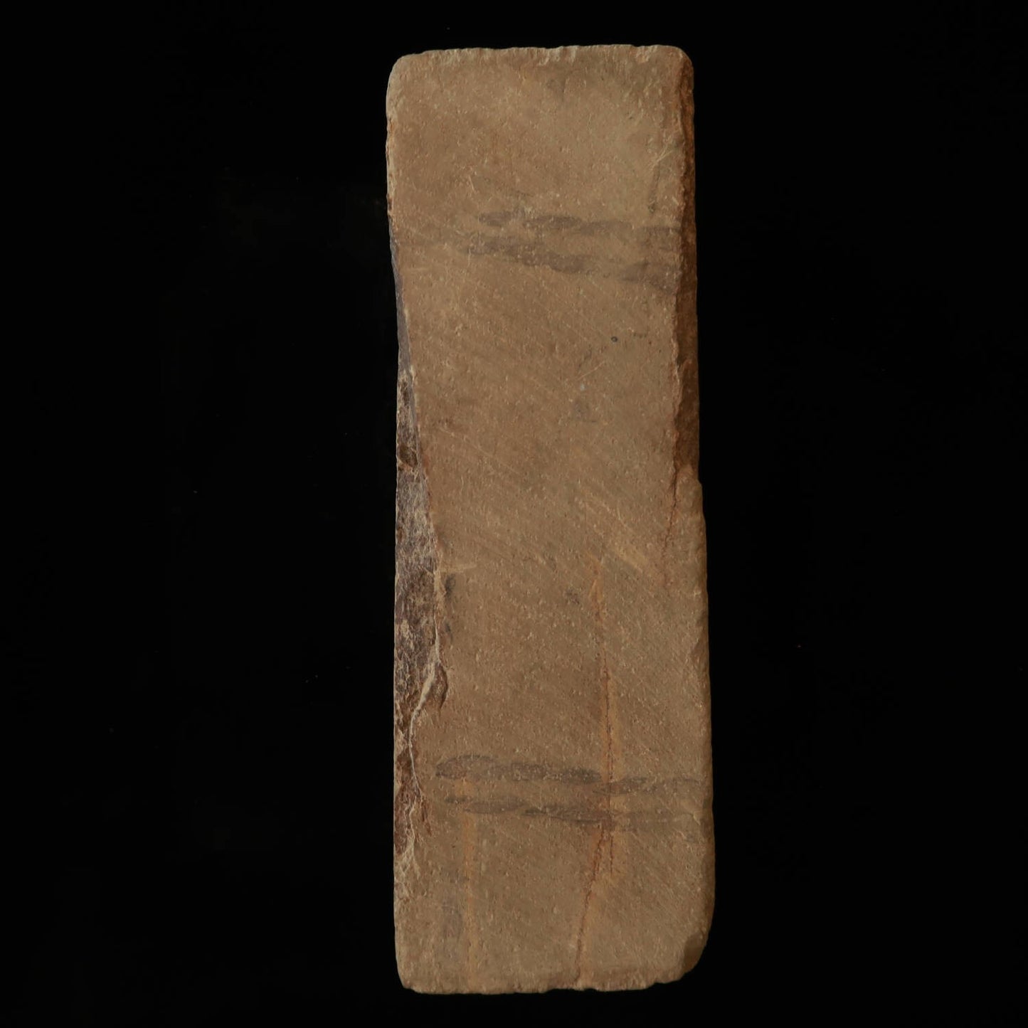 天然砥石　赤門前砥石　特大　81×237×103mm