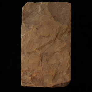 Pedra de amolar natural Ōhira formato “leather” 76×135×32 mm