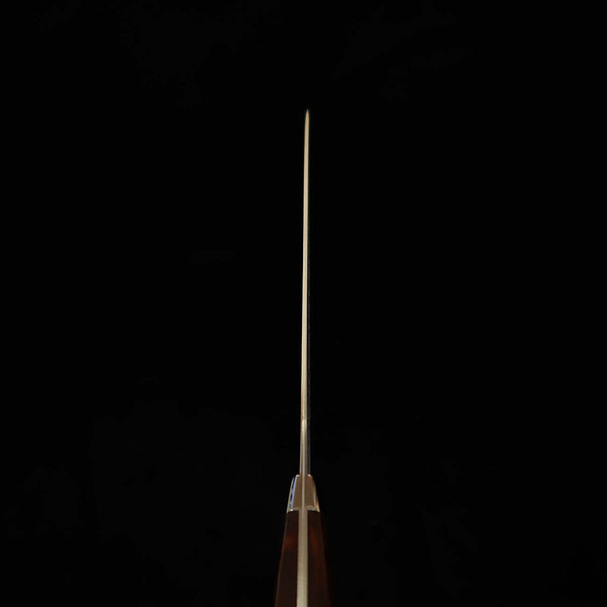 Takeshi Saji Sujihiki R2 Black Finish Ironwood Handle (240mm)