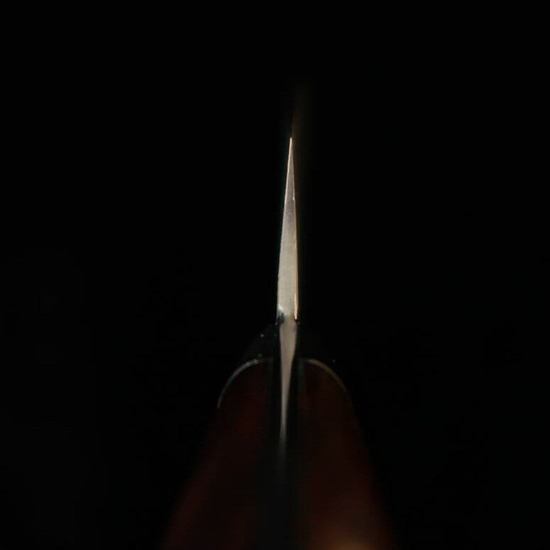Takeshi Saji Sujihiki R2 Black Finish Ironwood Handle (240mm)