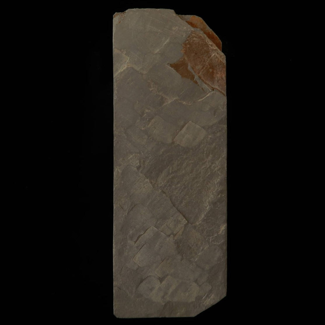 天然砥石　八木ノ嶋 合砥 浅黄 30型　71×208×33mm