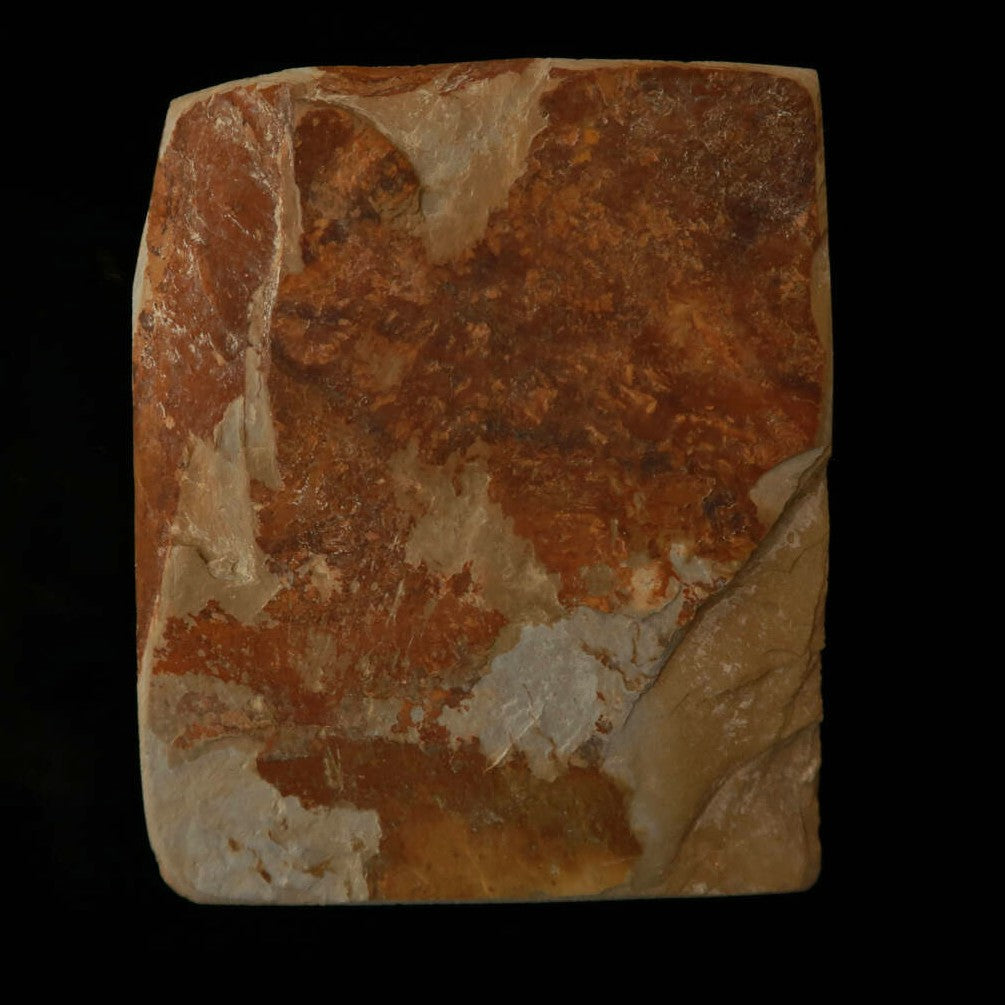 Pedra de amolar natural Nakayama Aoto Cobre 69×85×23 mm