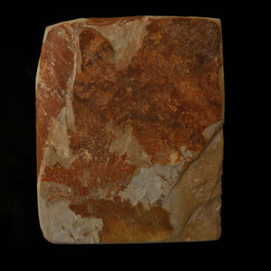 Pedra de amolar natural Nakayama Aoto Cobre 69×85×23 mm