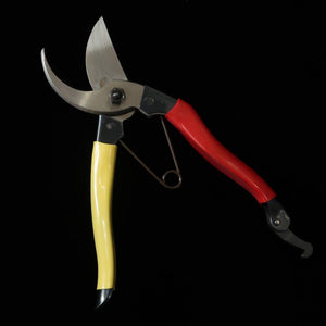 MIURA Pruning Shears Aogami Super Right Handed (200mm)