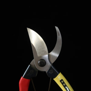 MIURA Pruning Shears Aogami Super Right Handed (200mm)
