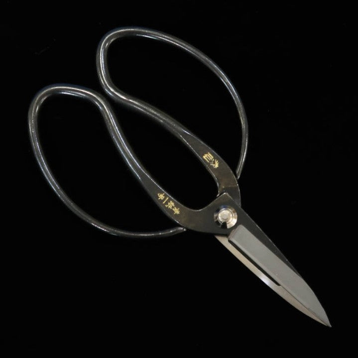 Tesoura de Poda MIURA Okubo Yasunori Aço Aogami #1 (200mm)