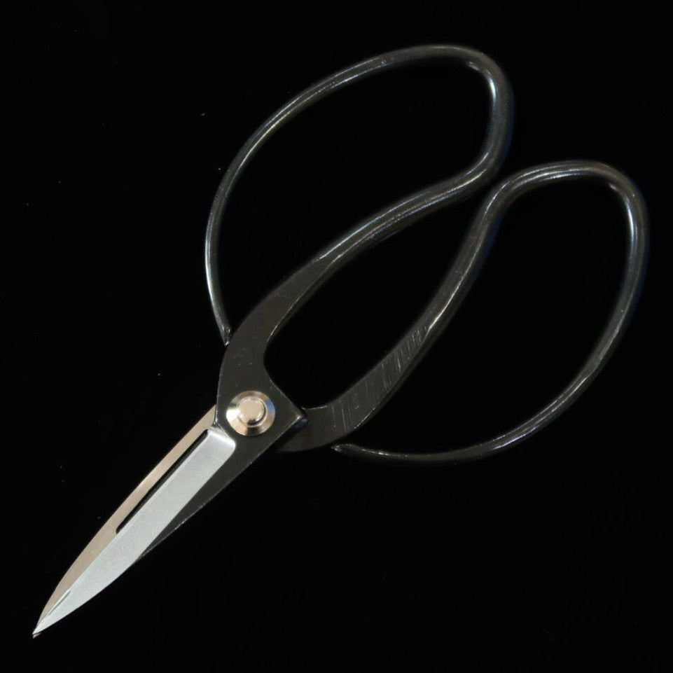 MIURA Pruning Shears, Yasunori Okubo, Scissors Aogami No. 1 (200mm)