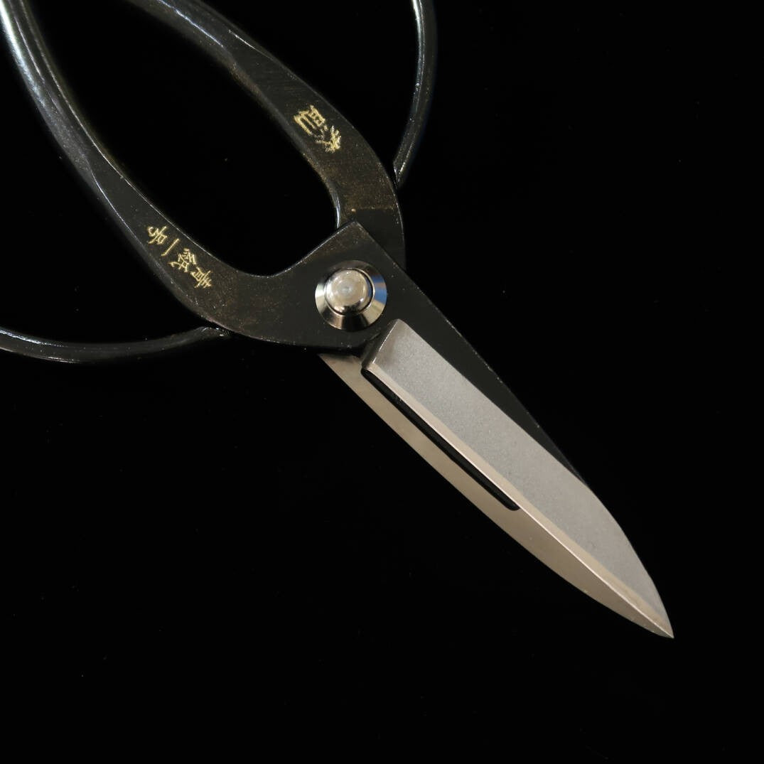 Tesoura de Poda MIURA Okubo Yasunori Aço Aogami #1 (200mm)
