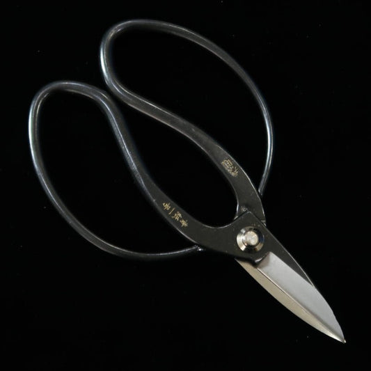 Miura MIURA, ciseaux Okubo, signature Yasunori, acier Aogami n°1, boîte noire (180 mm)