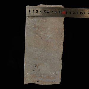 Pierre à aiguiser naturelle Chame透, type 8, grand modèle, 71 × 235 × 106 mm