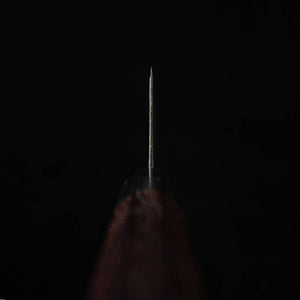 Takeda Hamono Huge Sasanoha Aogami Super Steel (270mm)