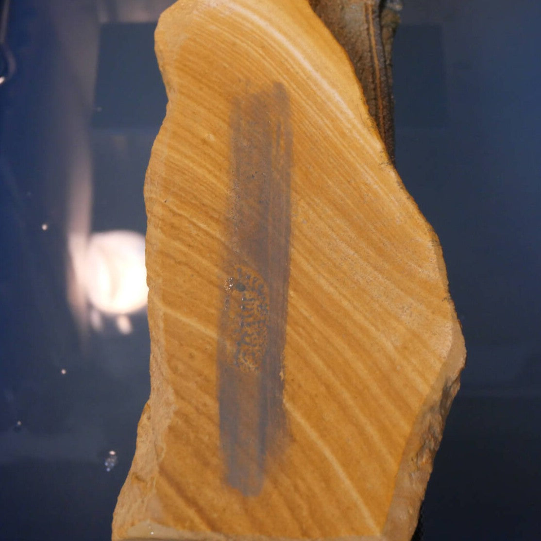 澪つくしひめ　天然砥石　伊豫銘砥　M26　木目　92×229×30ｍｍ