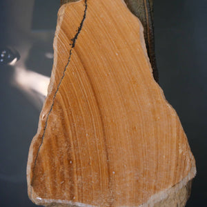 Miotsukushihime Piedra de afilar natural Iyo Meito T50 veta roja 112 × 207 × 20 mm