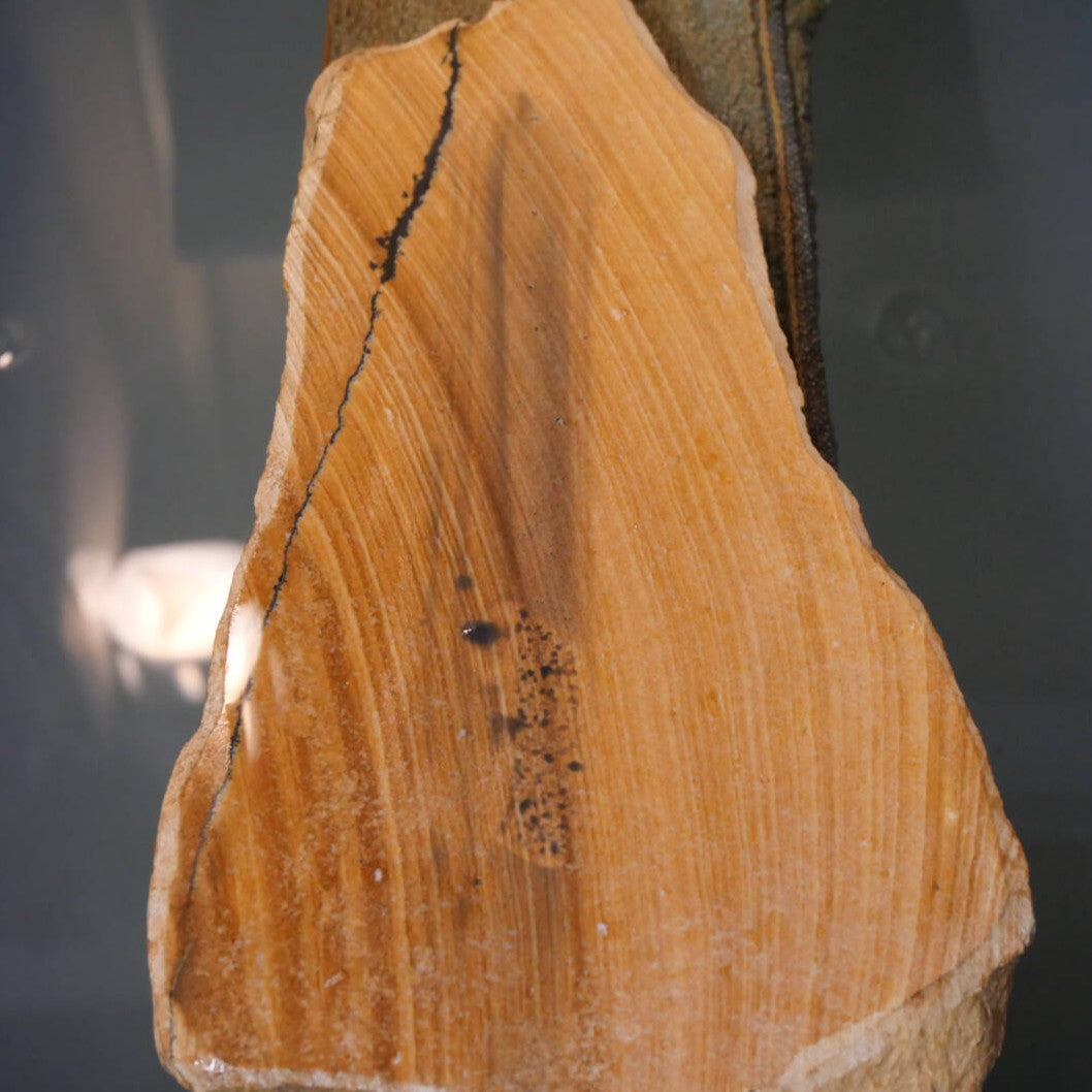 Miotsukushihime Piedra de afilar natural Iyo Meito T50 veta roja 112 × 207 × 20 mm
