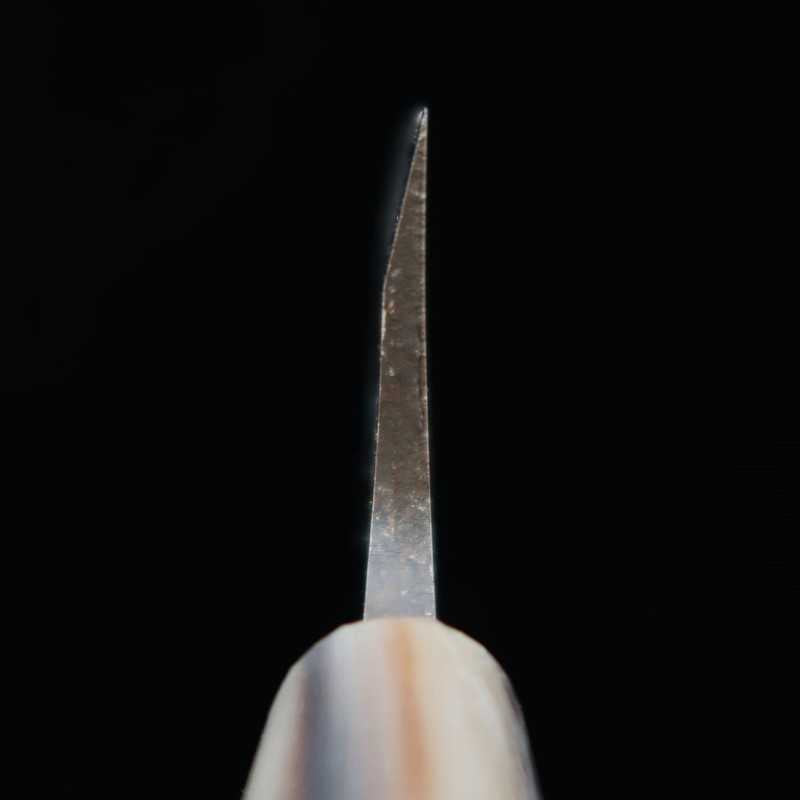 Suisin Acero Yasugi Deba (150-210 mm)