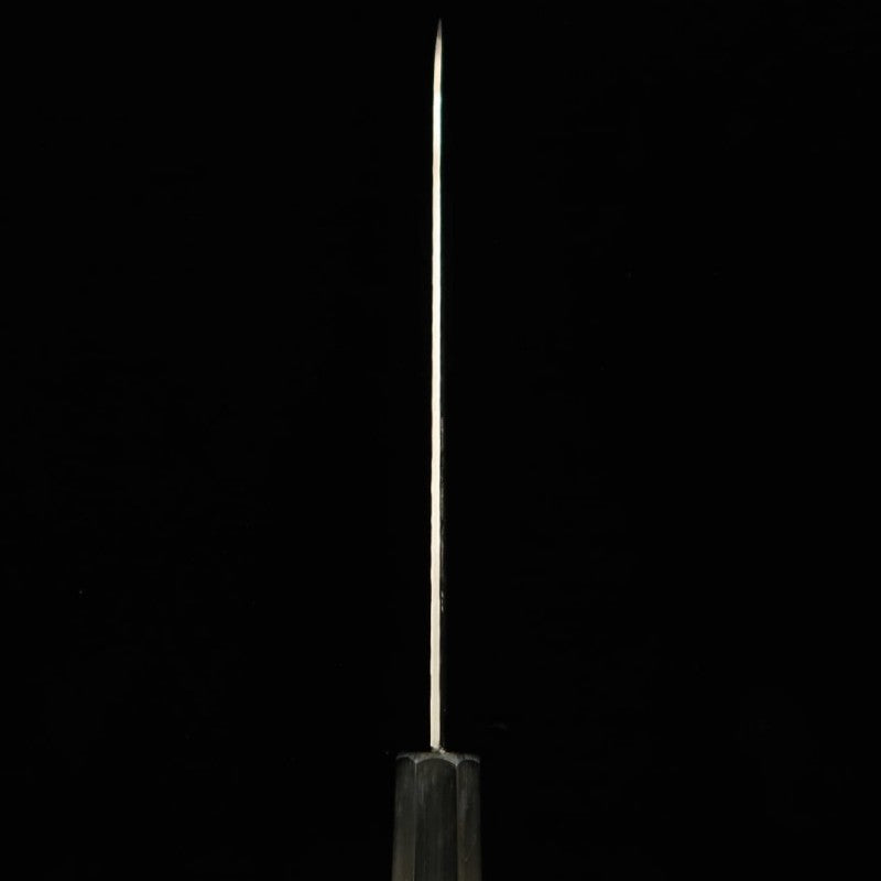 Gyuto SAKAI TAKAYUKI AUS10, damasco martillado de 45 capas, mango octagonal de magnolia (180-240mm)