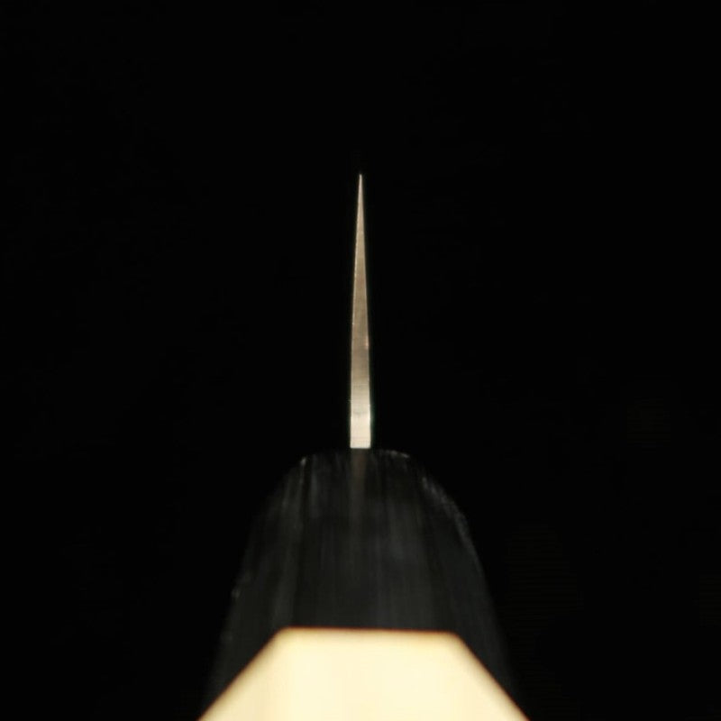 Gyuto SAKAI TAKAYUKI AUS10, damasco martillado de 45 capas, mango octagonal de magnolia (180-240mm)