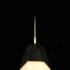Gyuto SAKAI TAKAYUKI AUS10, damasco martillado de 45 capas, mango octagonal de magnolia (180-240mm)