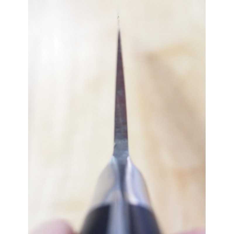Fujitora FUJITORA Deba ocidental (170-240mm)