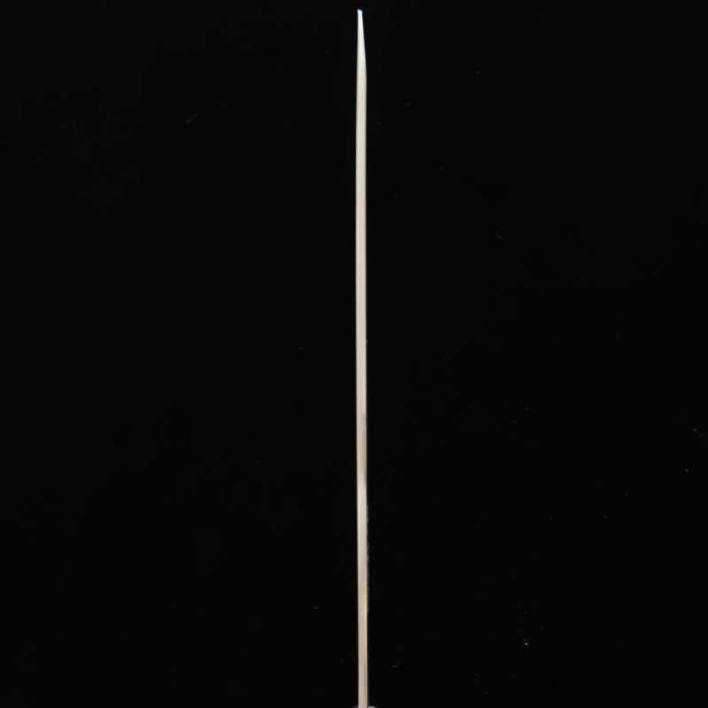 Sakai Takayuki SAKAI TAKAYUKI acero molibdeno Nanairo Gunjo Bekko yanagiba (270/300 mm)