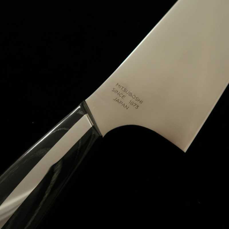 NAGOMI Professional, gyuto en acier inox spécial japonais (240mm)