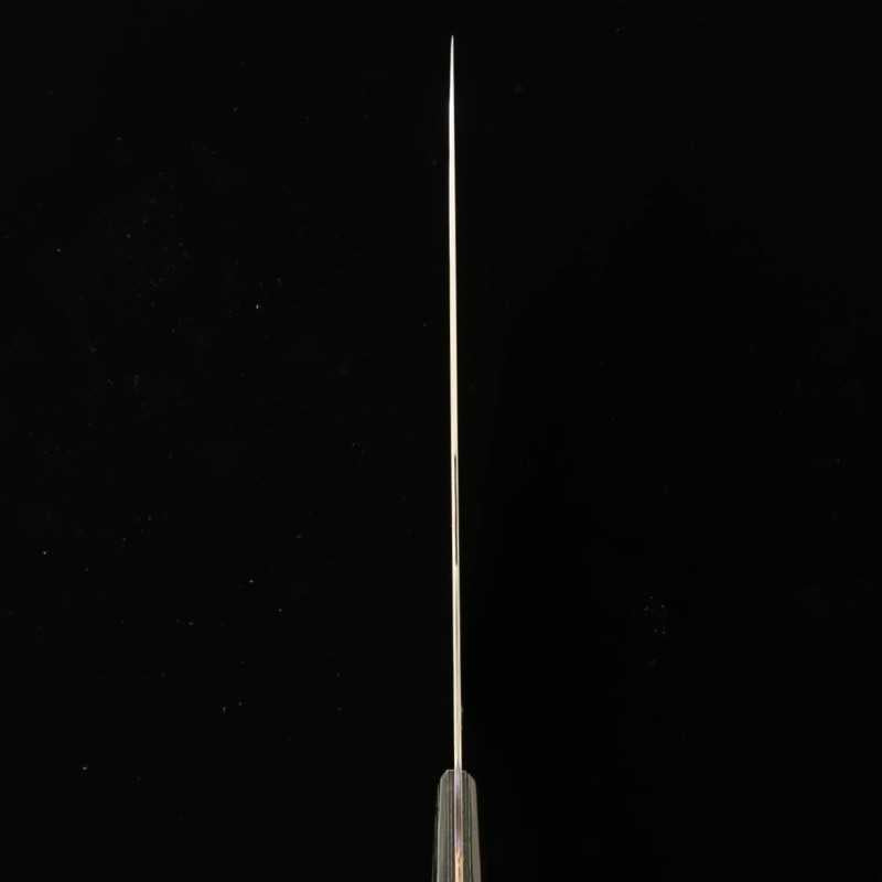 NAGOMI Professional, gyuto en acier inox spécial japonais (240mm)