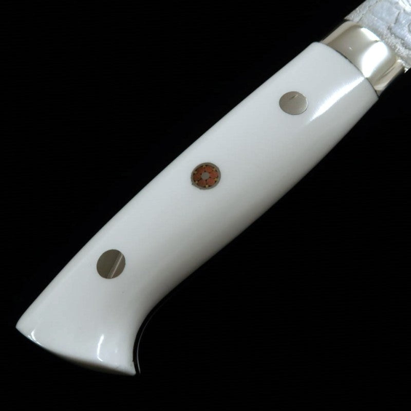 Saji Takeshi R2 acabado diamante gyuto Corian (210 mm)