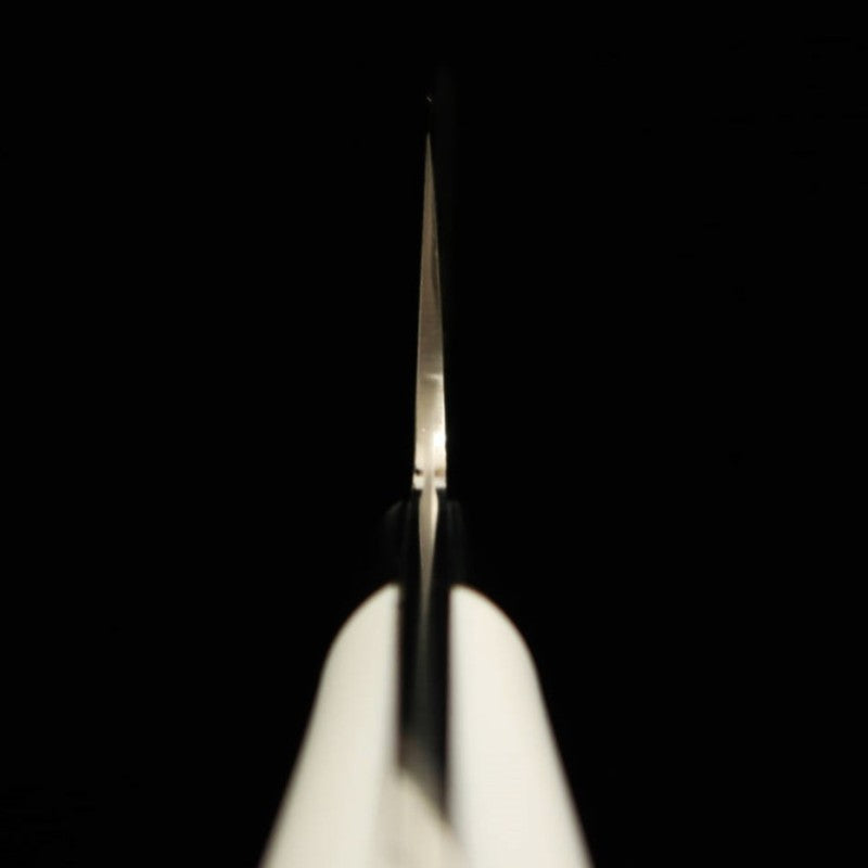 Saji Takeshi R2 acabado diamante gyuto Corian (210 mm)