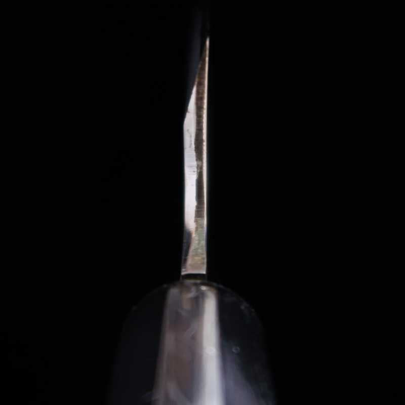 SUISIN Funayuki Aogami No. 2 Honkasumi (165mm)